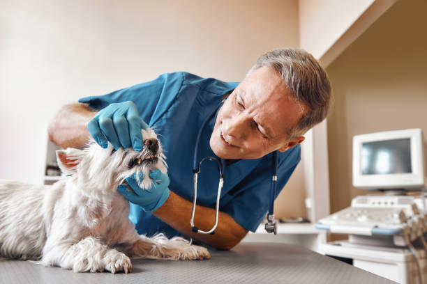 Best Emergency Dental Care for Trauma or Injury in Ponchatou, LA